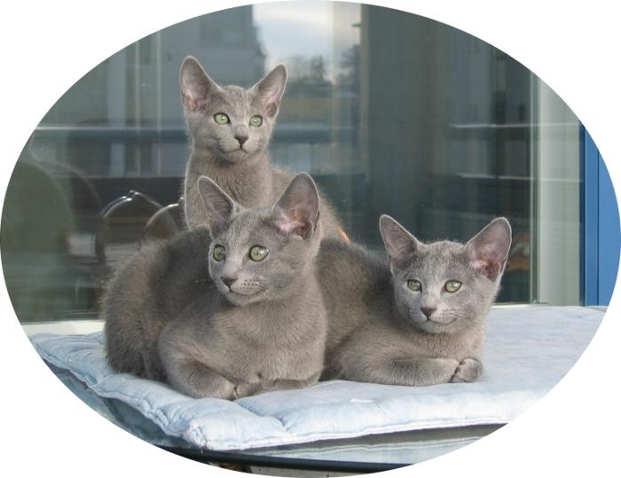 12,5 weeks Carmencita Casimiro Celestina